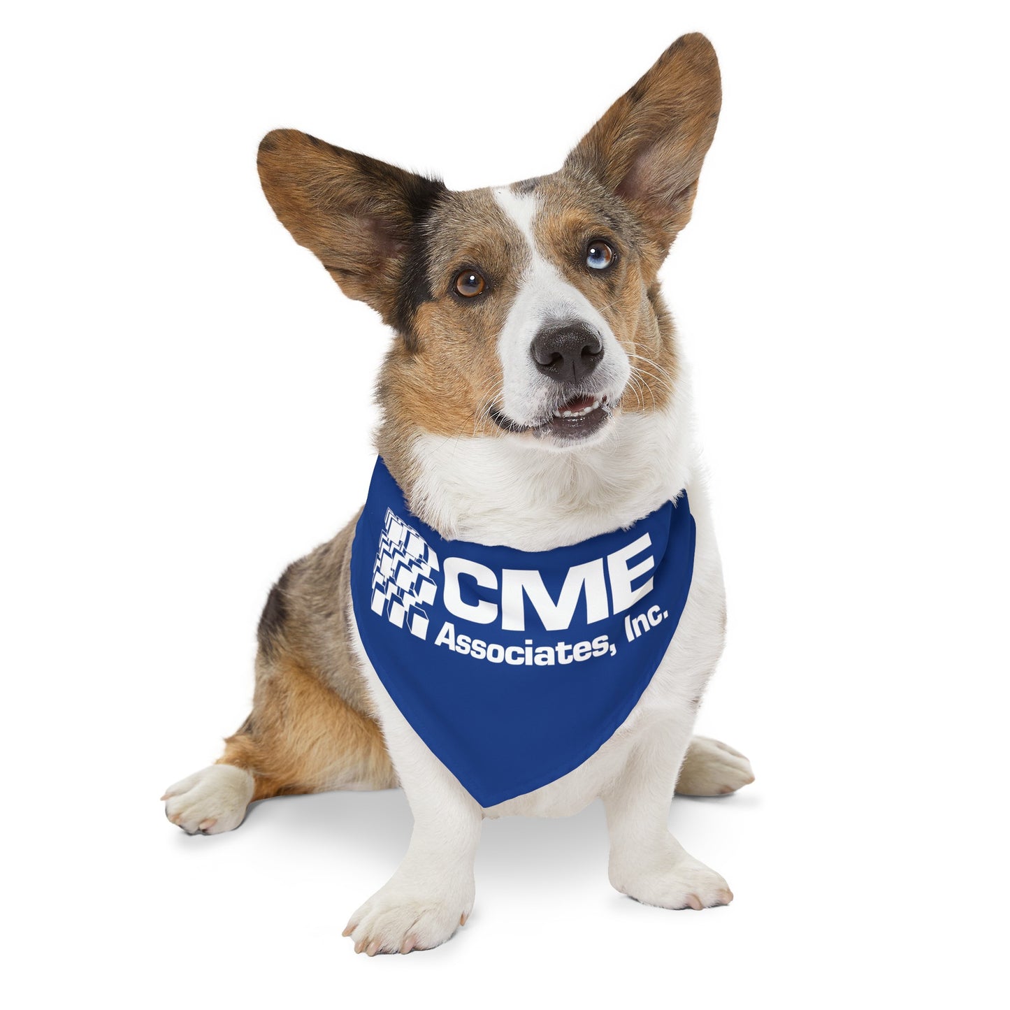 Pet Bandana Collar